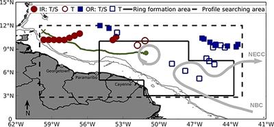 Volume and Heat Transports by North Brazil Current Rings